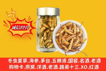 立山区回收散虫草