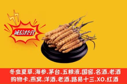 立山区求购回收虫草多少钱每克